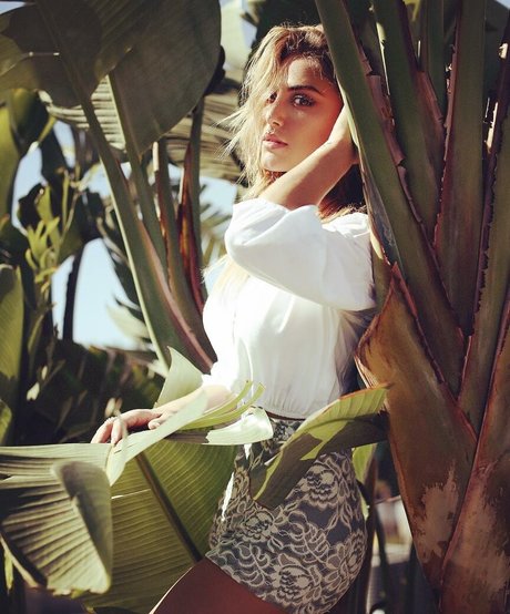 Cassie Scerbo pornstar xxx archive