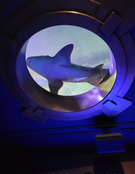 ass spread onlyfans pornographic pictures