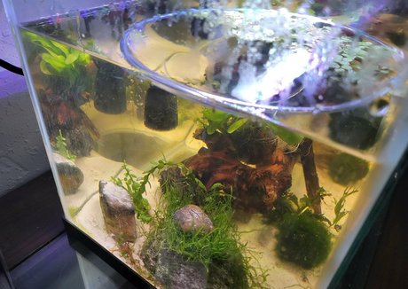 skinny ass onlyfans beautiful nude gallery