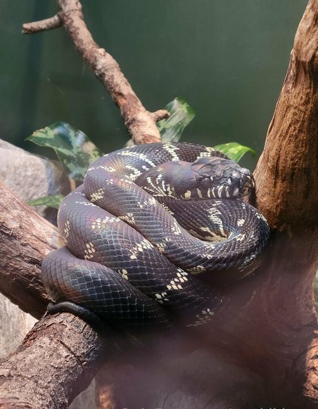 slut milf onlyfans perfect image