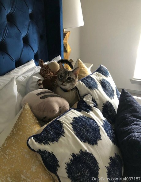 big tits facial onlyfans sexy pics