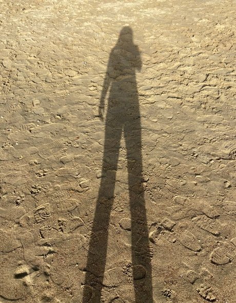 Laura Tobin best star images