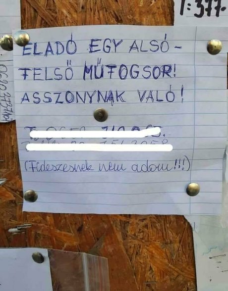 babe nude onlyfans porn img