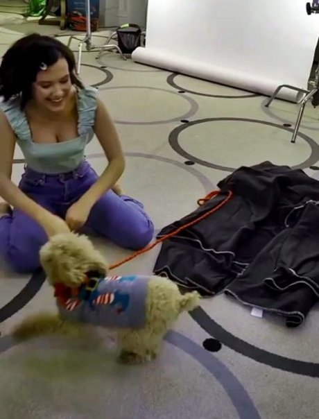 Millie Bobby Brown erotic pornstar pictures