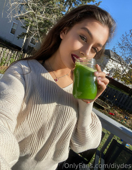 diydes nude pornstar galleries