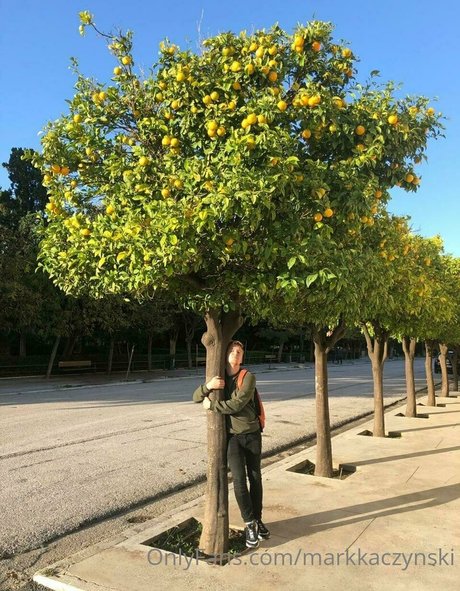 cute ladyboy onlyfans art xxx galleries