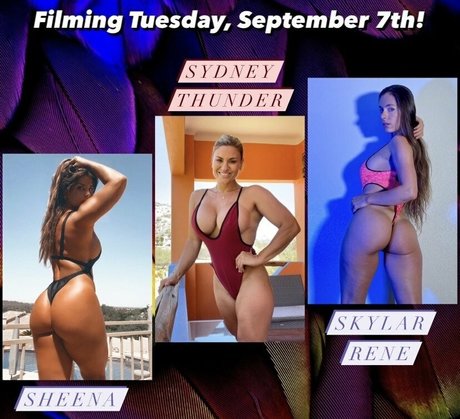 skylarrene star adult image