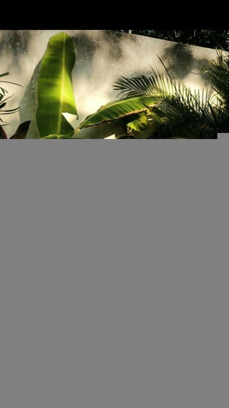 stepsister onlyfans hd archive