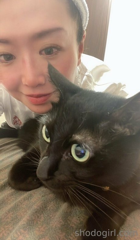 shodogirl free model gallery