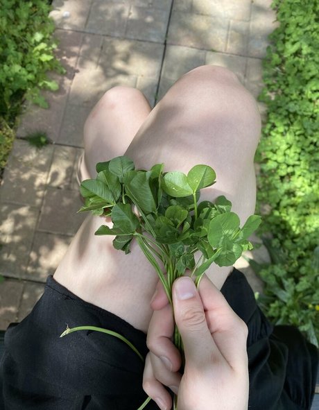 big ass lingerie onlyfans adult archive