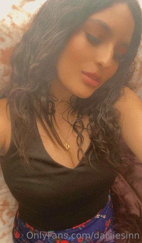 daisiesinn art star img