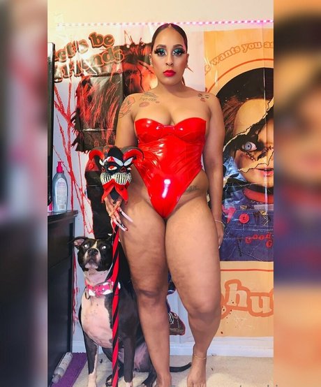 purkissess best star image