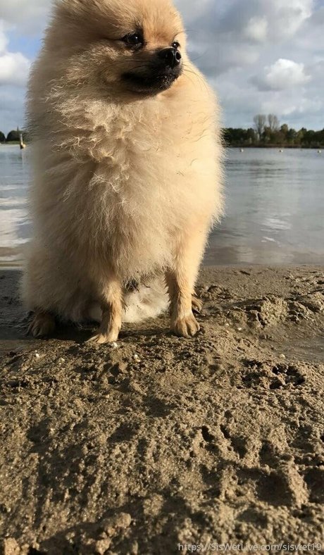 titfuck onlyfans nudes galleries