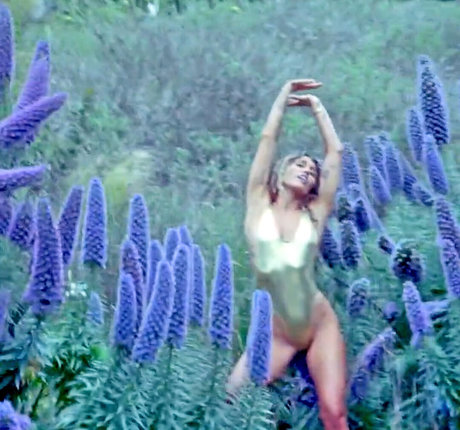 feedee onlyfans sexy xxx picture