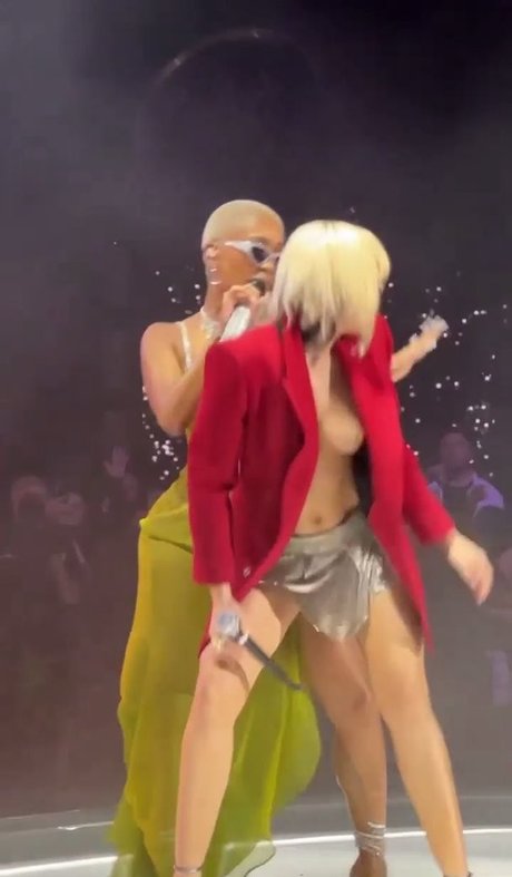 Miley Cyrus model top picture