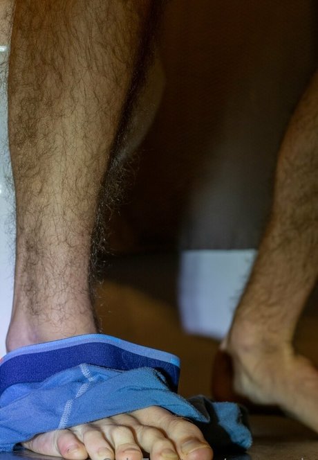 macrocole star archive