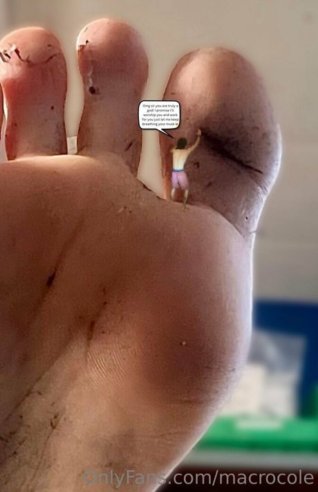 macrocole star nudes pic