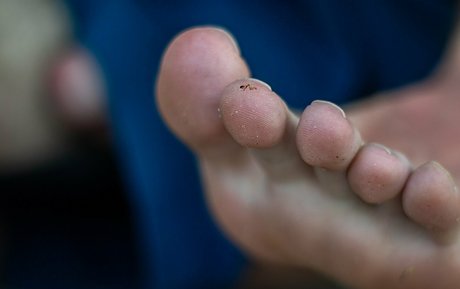 macrocole free pornstar picture