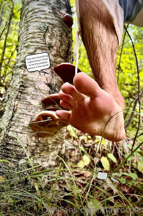 macrocole model hd galleries