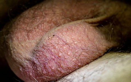 brunette ass onlyfans best pictures