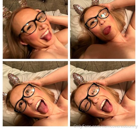 bunnycovered nice star photos