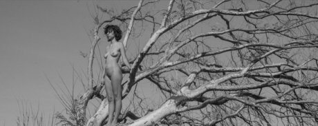 bbc shower onlyfans free photos