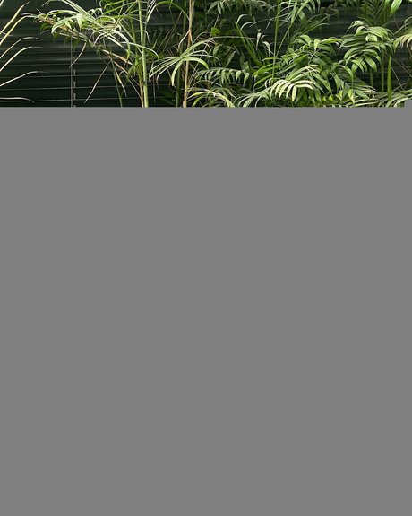 bbc shower onlyfans perfect pictures