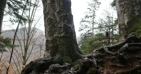 lingerie blowjob onlyfans xxx photos