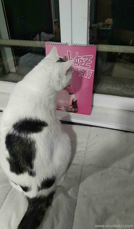 girl onlyfans free xxx gallery