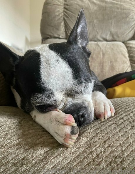 bbc rough onlyfans porn archive