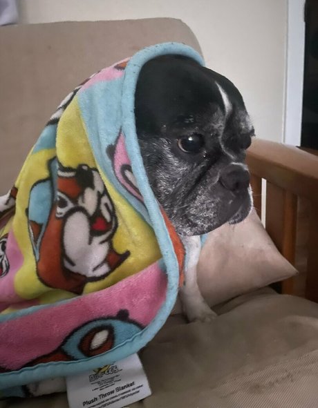 milf strip onlyfans hot image