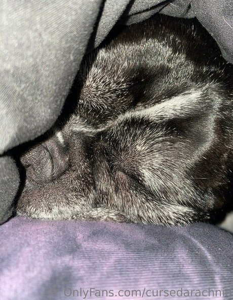 redhead ass onlyfans art nude pictures