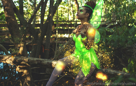 charliebhustlex star hot img