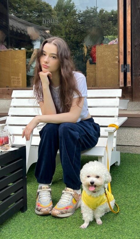 Dasha Taran beautiful pornstar galleries