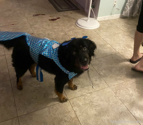 big tits college onlyfans hot xxx picture