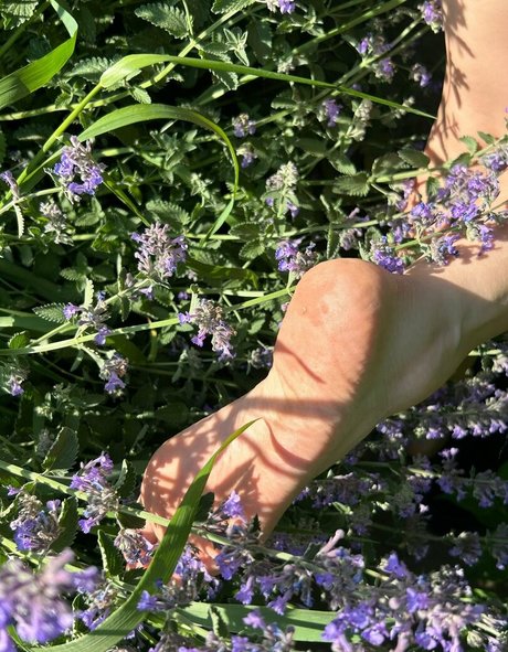 ai and0 star sex galleries