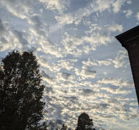 dream candy model hot archive