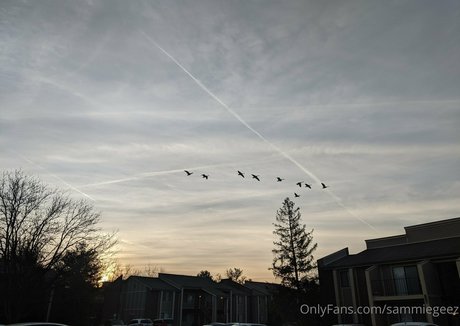 dream candy sexy star pictures