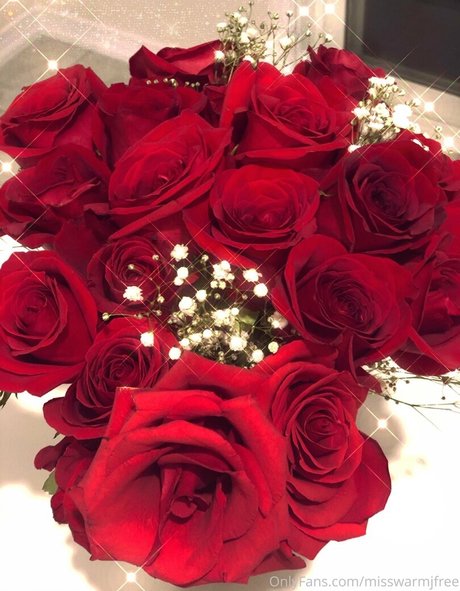 misswarmjfree star best images