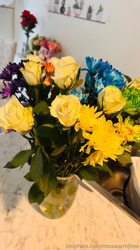 misswarmjfree pornographic actress pic