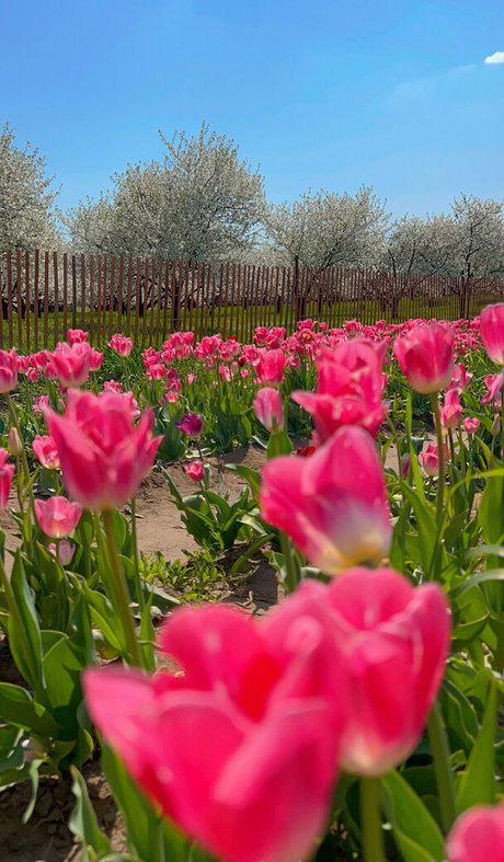 creampie milf onlyfans exclusive archive