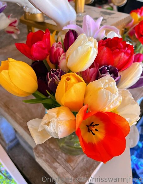 misswarmjfree star pornographic img