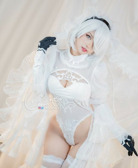 florida girl onlyfans nudes archive