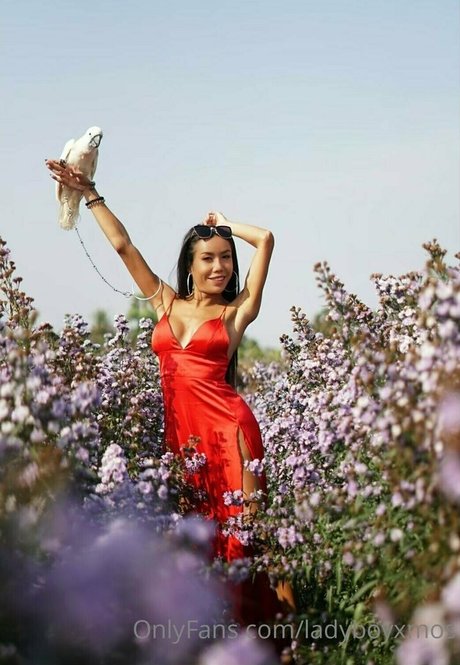 lingerie blowjob onlyfans pretty pictures