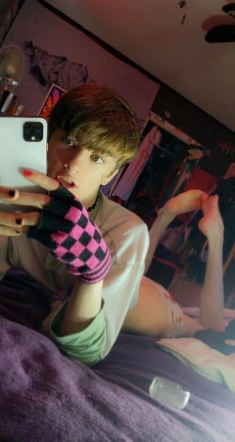 boixd star free photo