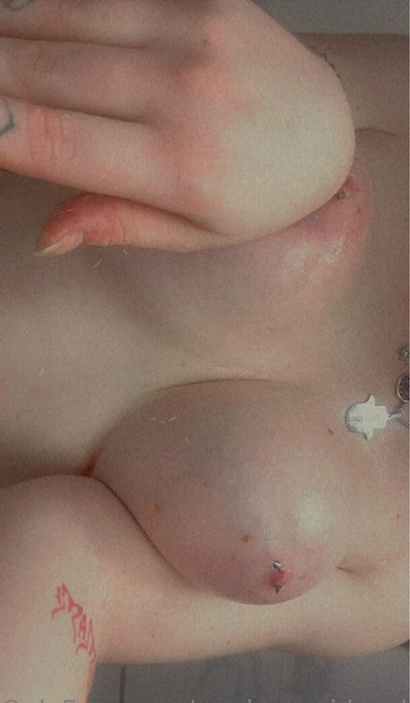 curvy kitty onlyfans top image