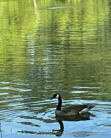 chubby solo onlyfans free xxx pics