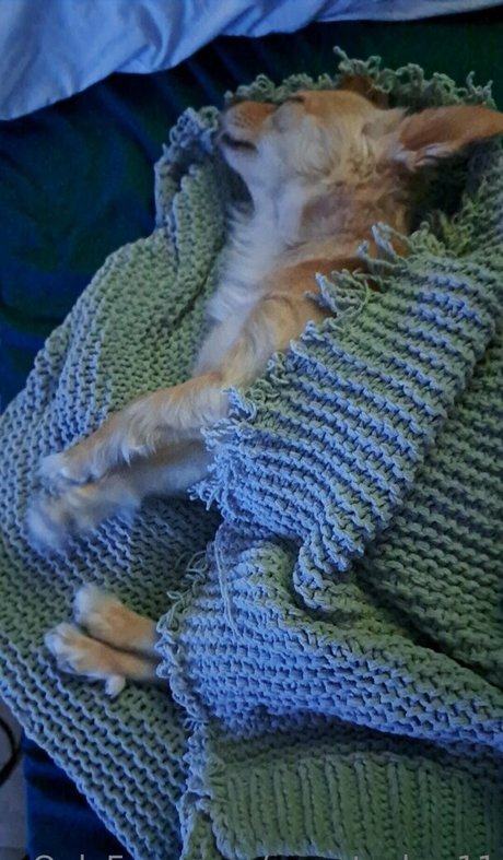 sweetcakes11 art model images