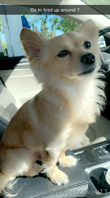 sweetcakes11 star nude pictures