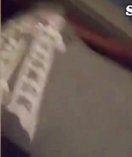 latina shemale onlyfans art porn photo